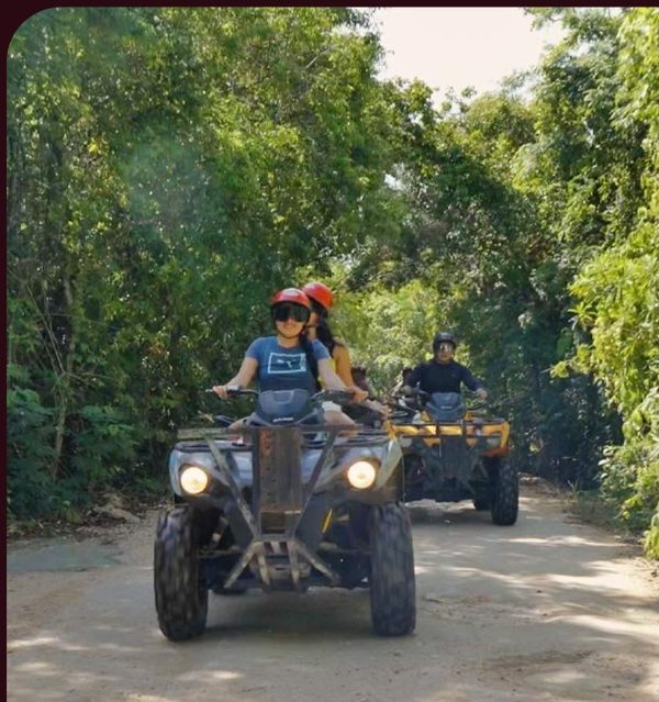 ATV and bike