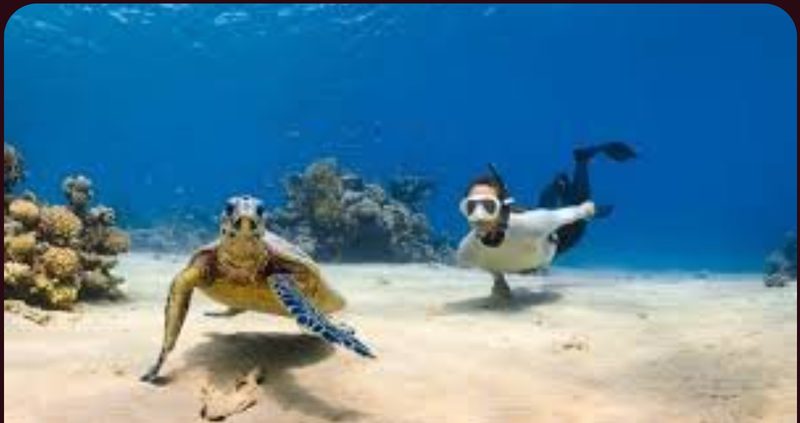 Scuba and snorkeling